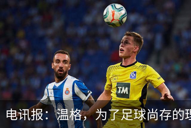 电讯报：温格，为了足球尚存的理智，请参加下届国际足联主席竞选